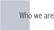 Our Company